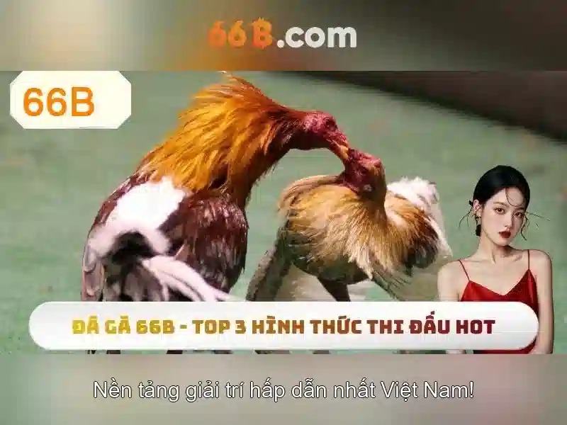 điều kiện tham gia